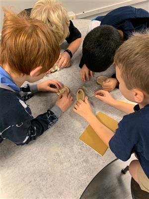 students working together in science